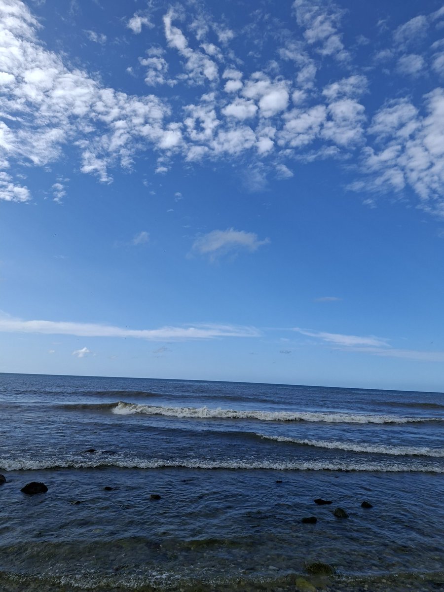 marie ۶ৎ tweet media