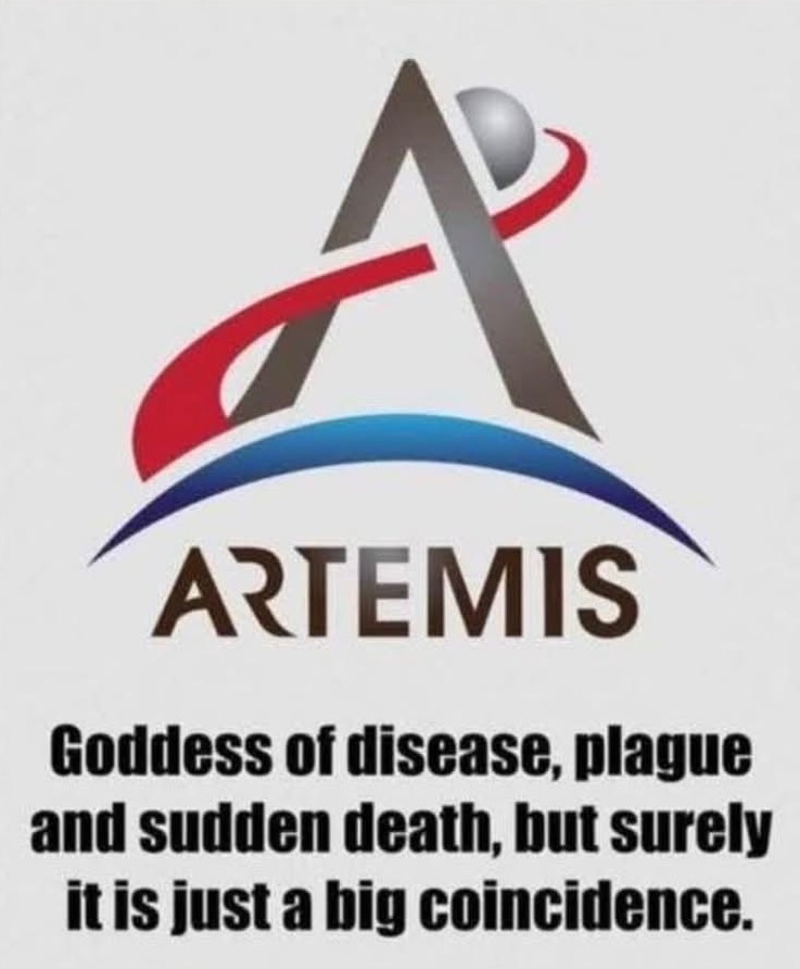 🧬Maxpein🧬 tweet media