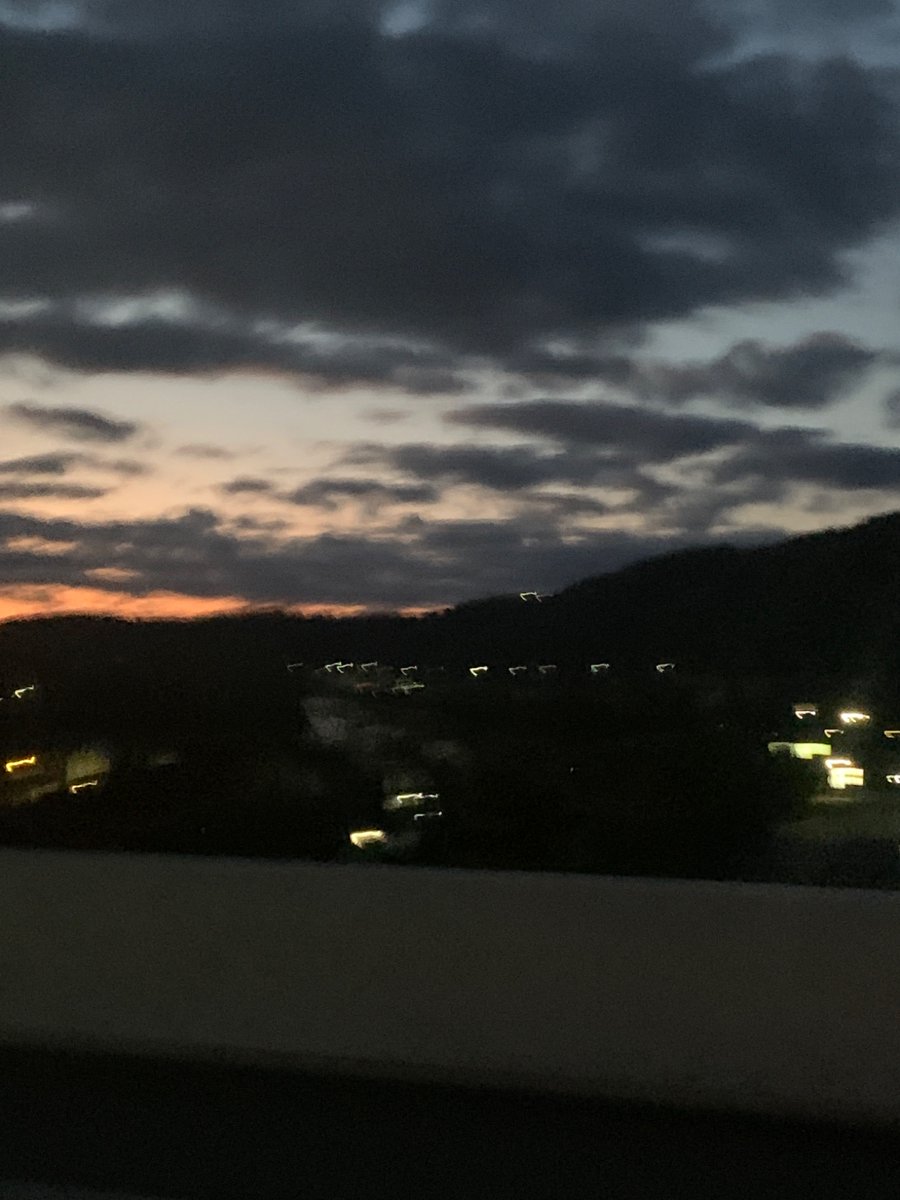 Sylvester🐟 tweet media