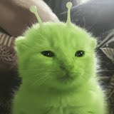 can someone draw astel as glorp