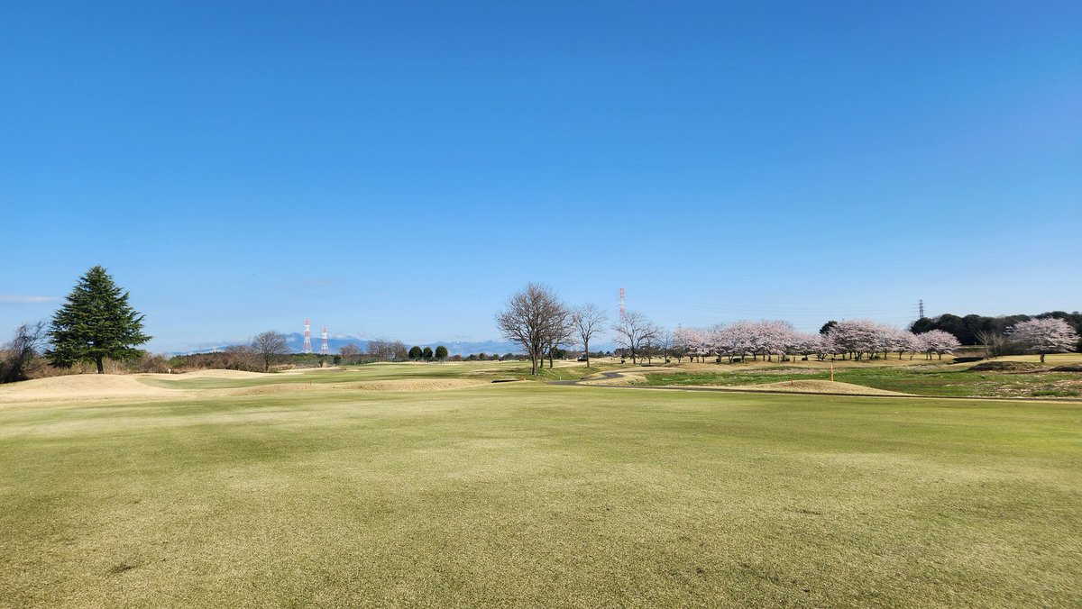 ミコ★miko★ゴルフ⛳ tweet media