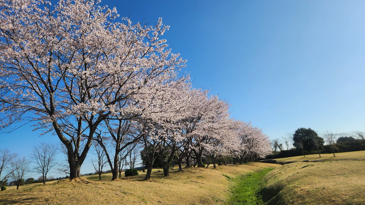 ミコ★miko★ゴルフ⛳ tweet media