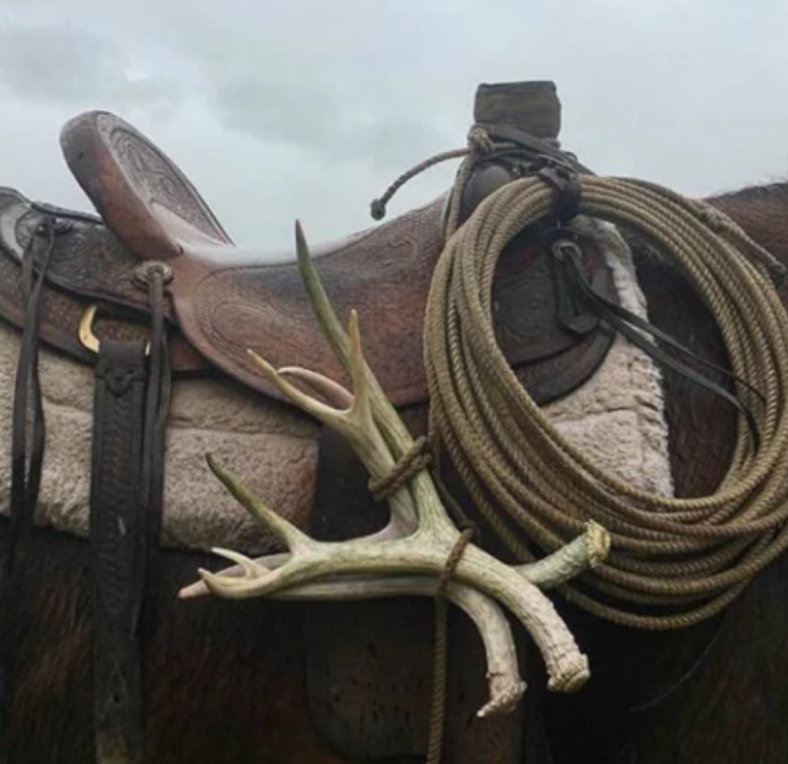 🫀cody 🦌 tweet media