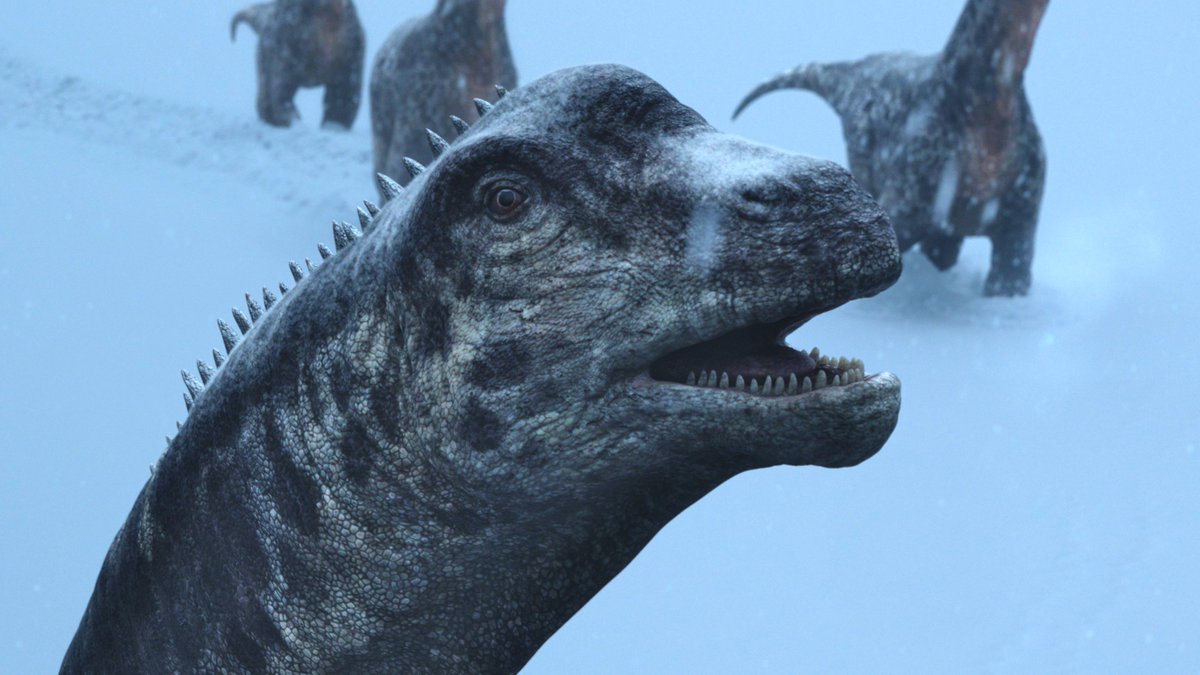 raftingzalmoxes's tweet image. #LifeOnOurPlanet #TheDinosaurs
The Yutyrannus hunting segment.

Swift, effective, and set in a memorable snow-covered environment.