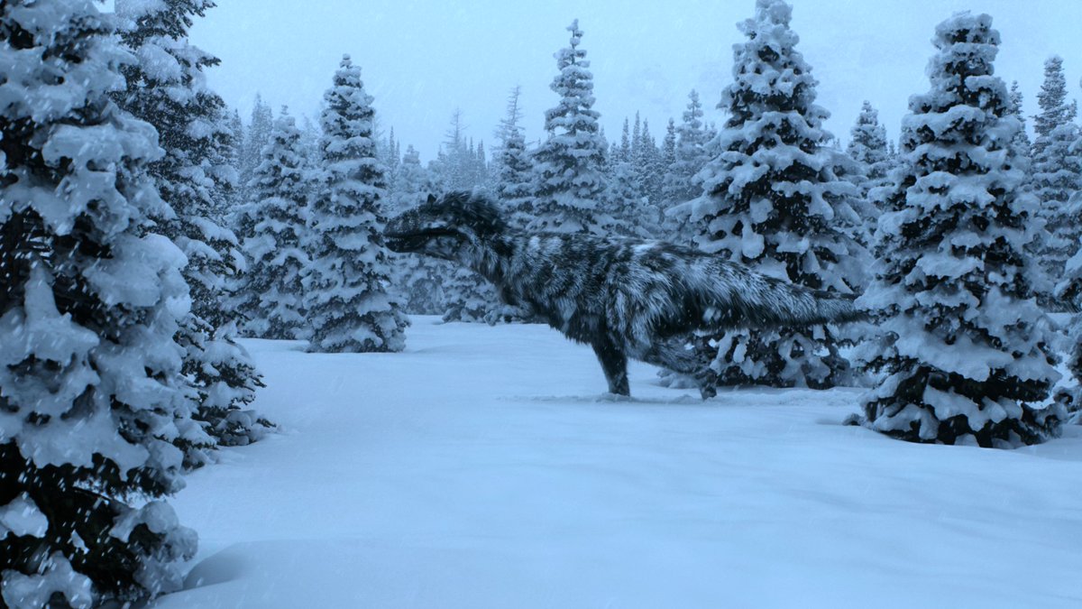 raftingzalmoxes's tweet image. #LifeOnOurPlanet #TheDinosaurs
The Yutyrannus hunting segment.

Swift, effective, and set in a memorable snow-covered environment.