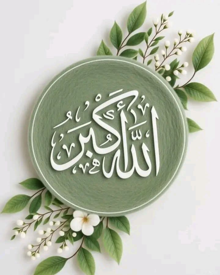 Shumaila Mubeen 🇵🇰 tweet media