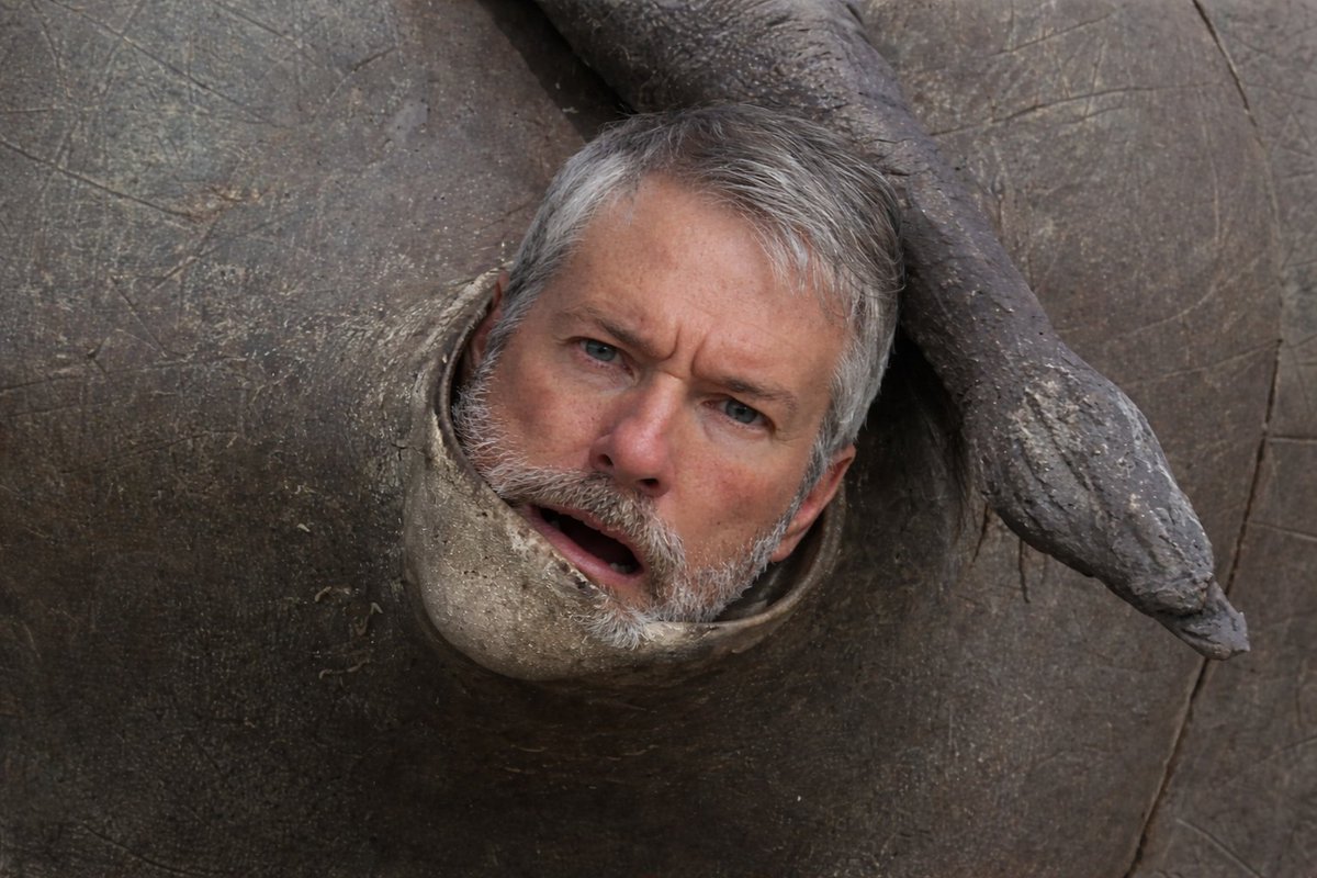 Butler🏴‍☠️ tweet media