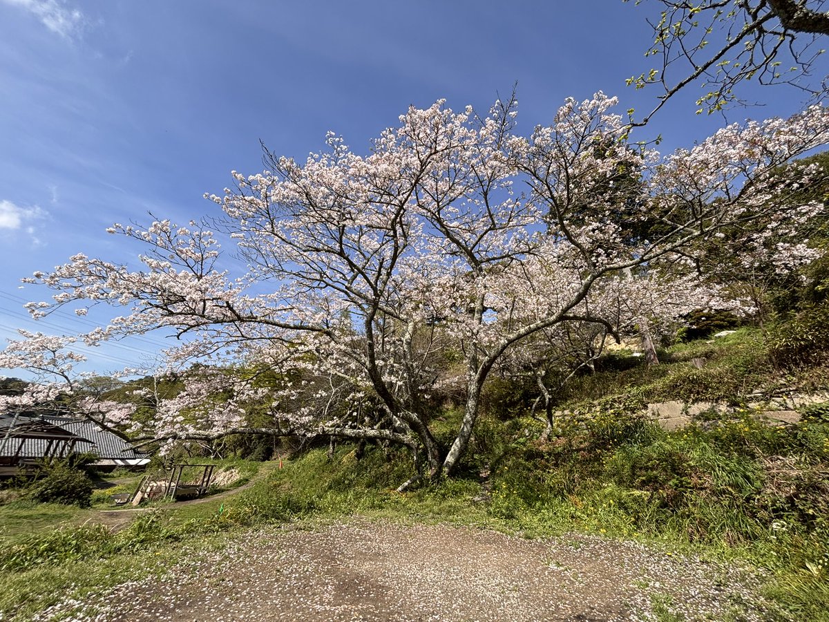 ポンコツサブロー tweet media