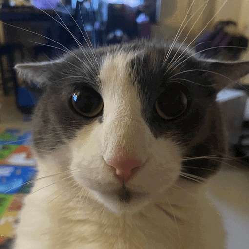 Soggy Bot tweet media