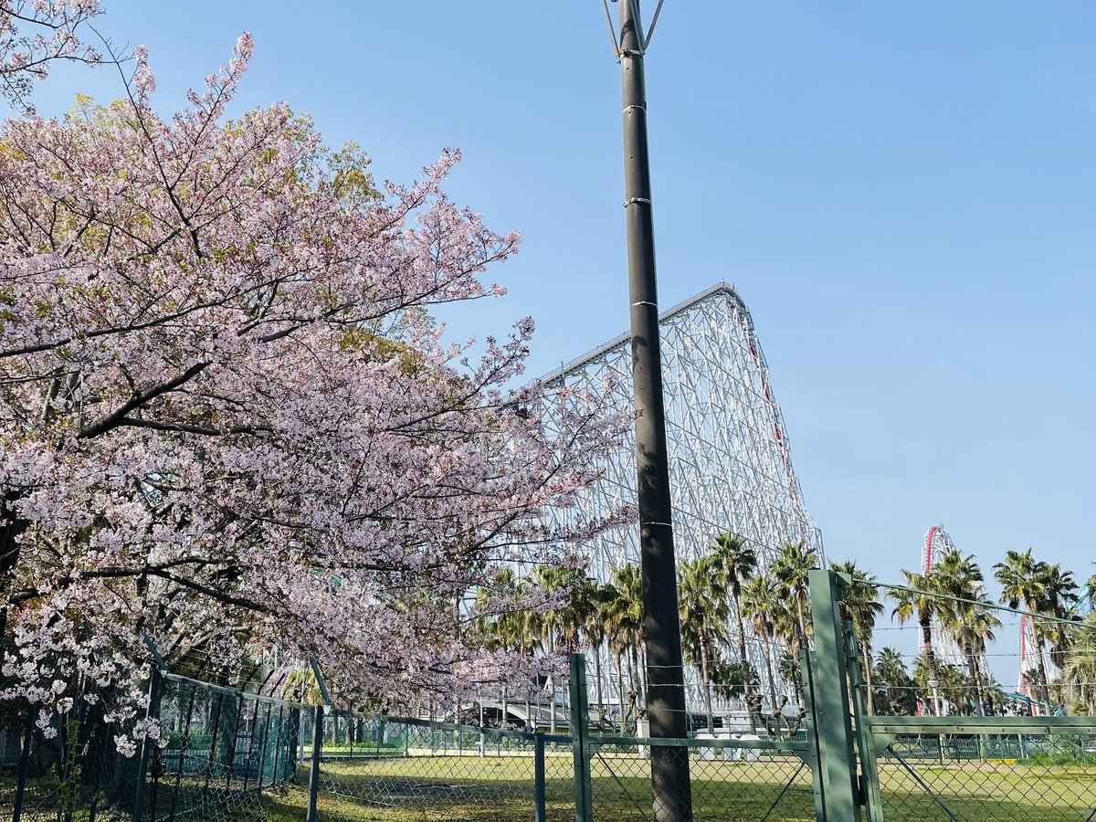 TAKAOGA🎢 tweet media