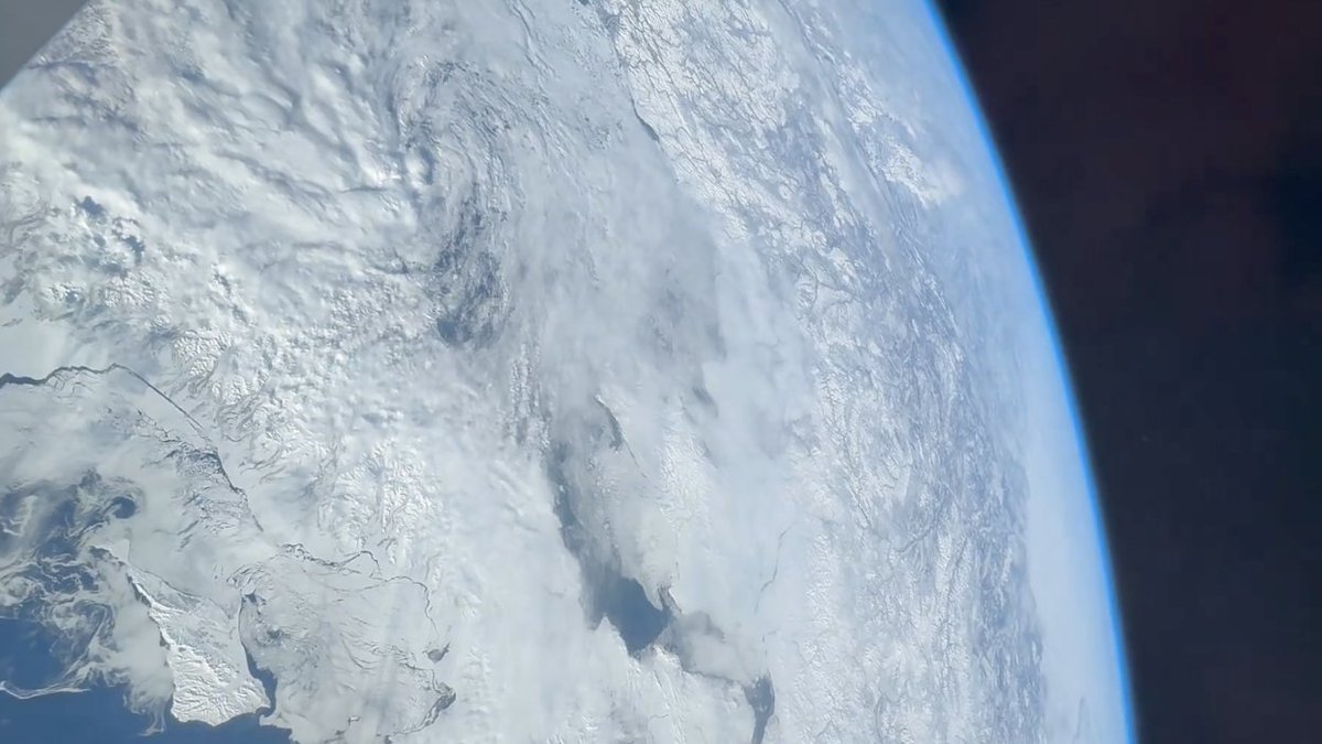 MeWhenSkull tweet media