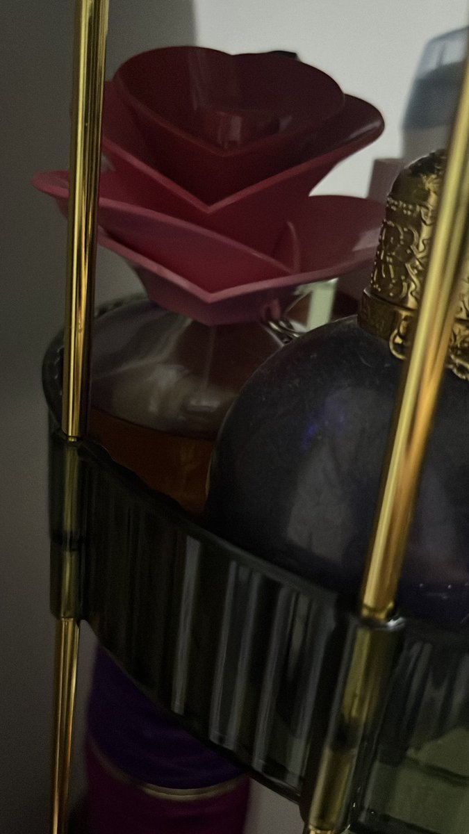 sophs 🐮 tweet media