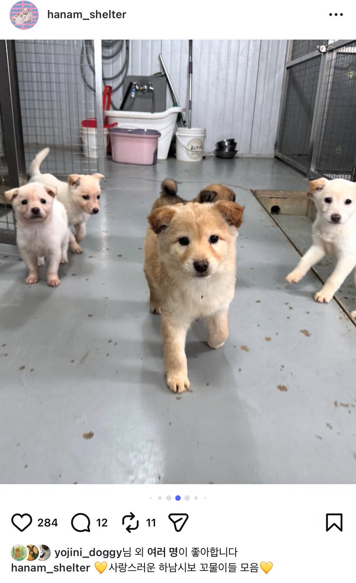 강보ㄹ| tweet media