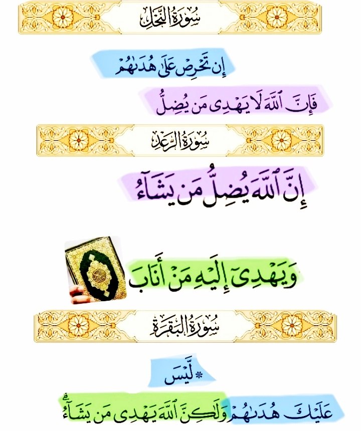 اتبعوا القران فقط tweet media