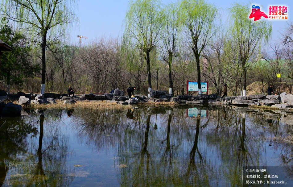 山西新闻网 Shanxi News Network tweet media