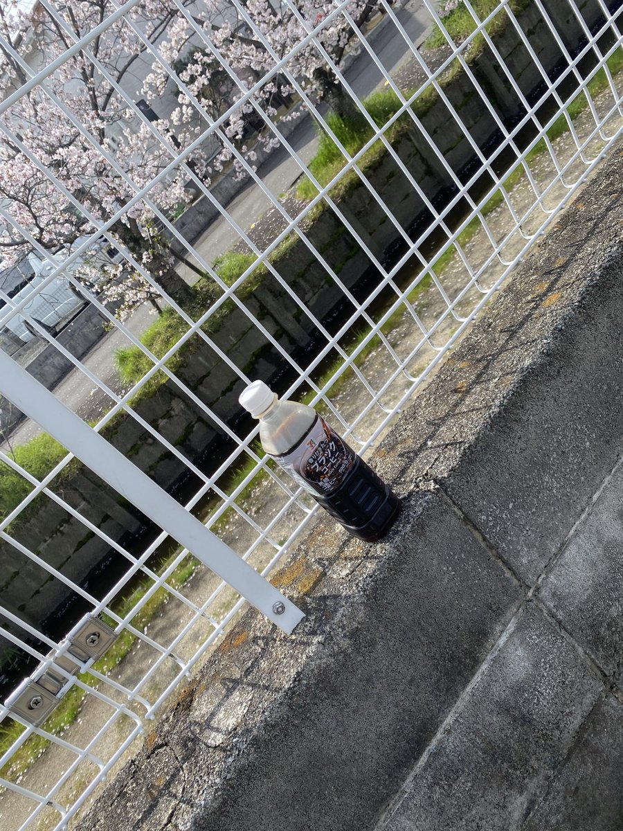 Shigeru A water tweet media