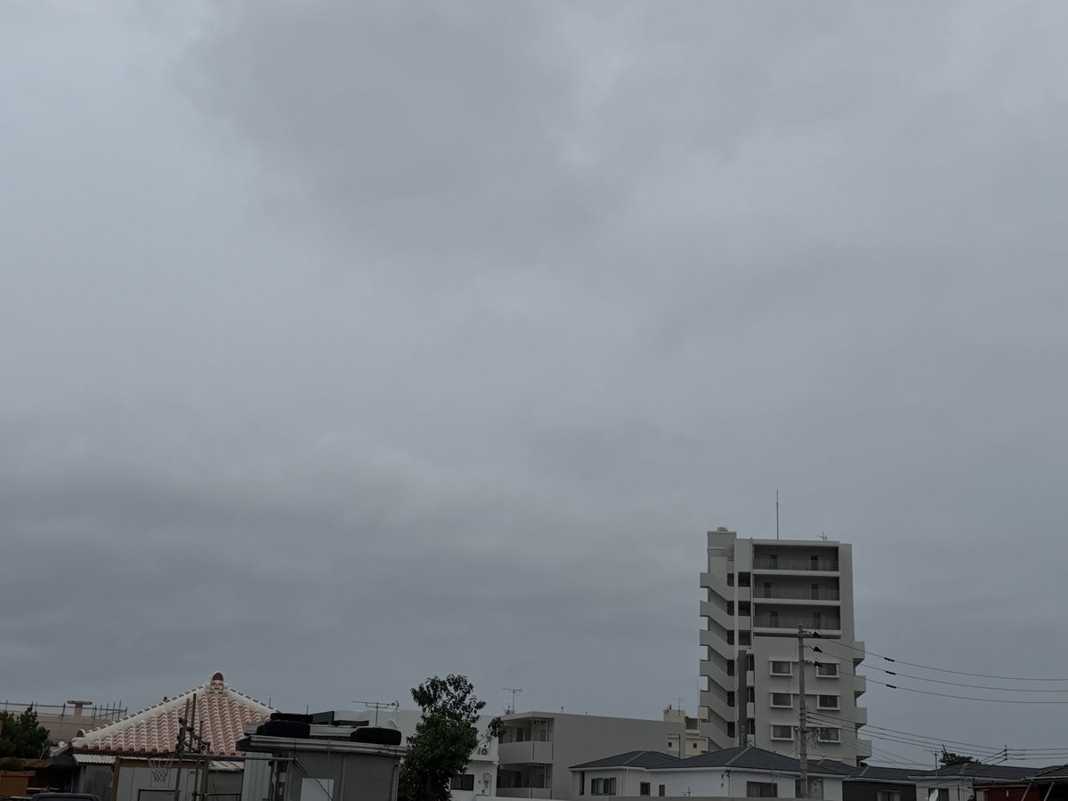 エコザイル tweet media