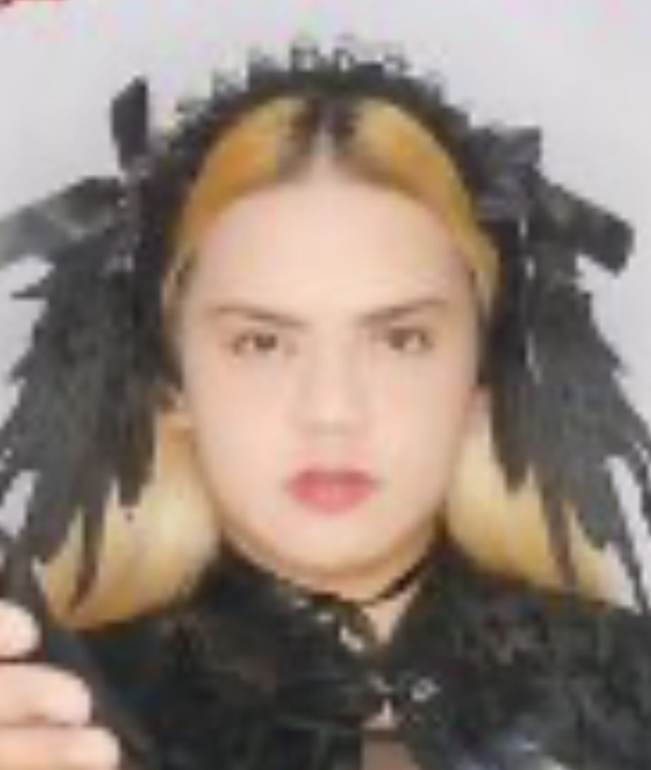 Perro en bolas tweet media