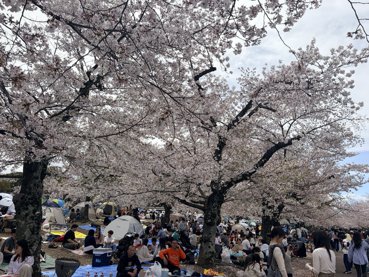 すやすやすんや tweet media