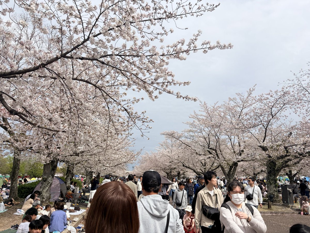 すやすやすんや tweet media