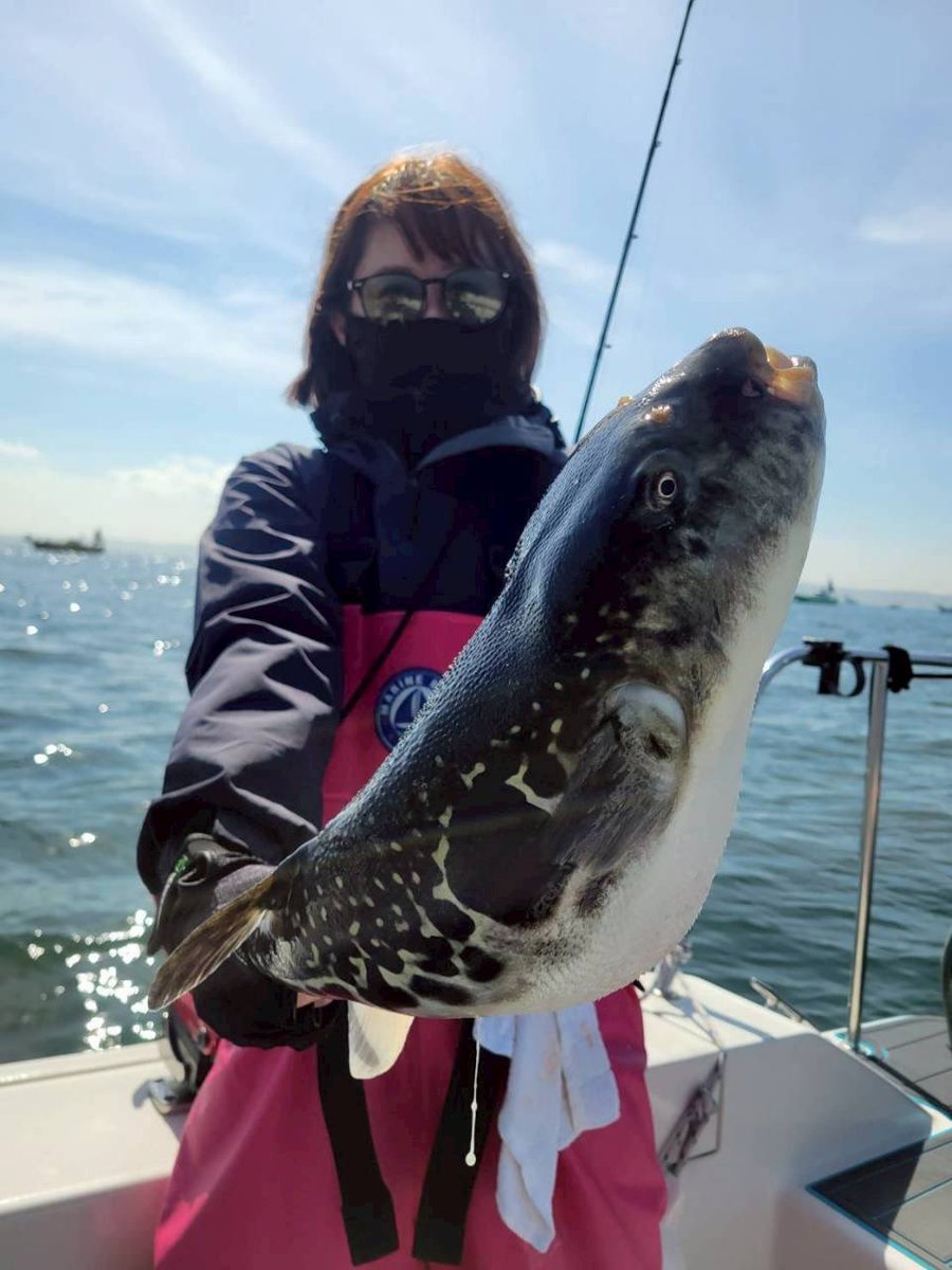 あさみん🎣 tweet media