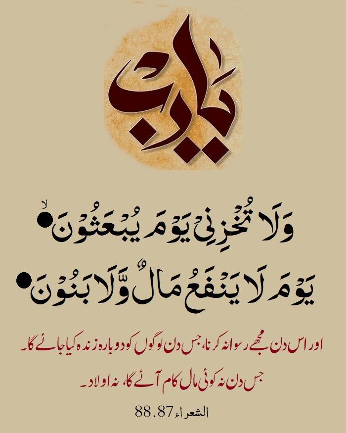 سعدیہ ملک tweet media