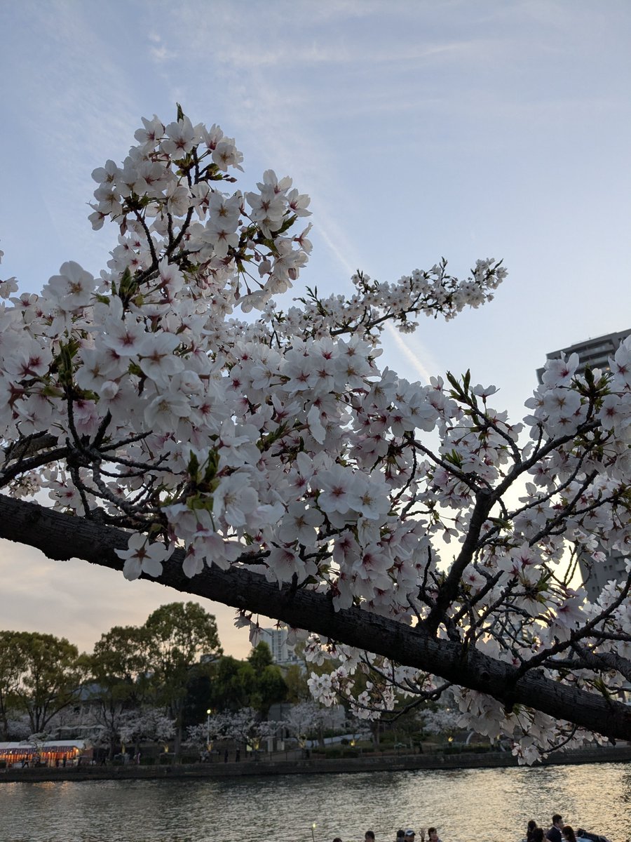 ゆい🐻 WEB制作 tweet media