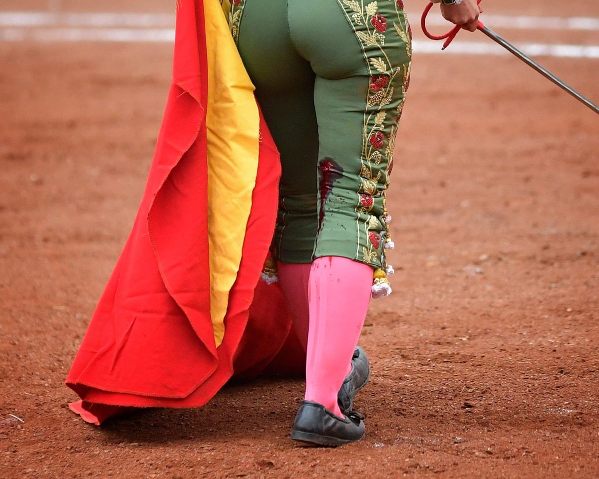 Monumental de Aguascalientes y Plaza San Marcos tweet media