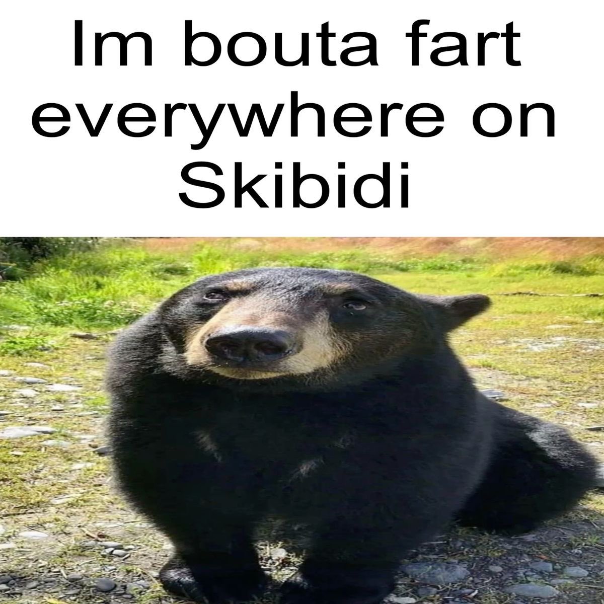 Pleebert🧸🐻 tweet media