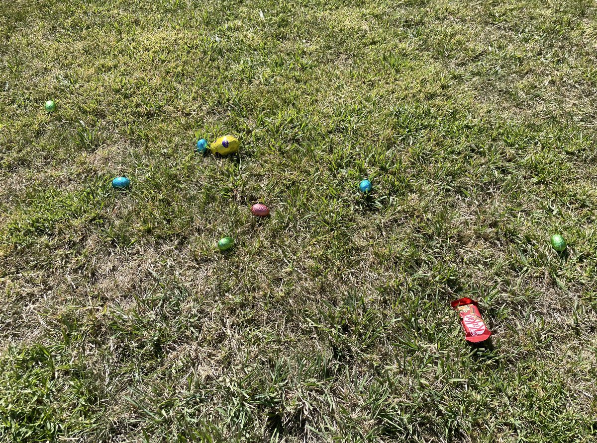 まめぞう@海外子育てx音楽xFamily tweet media