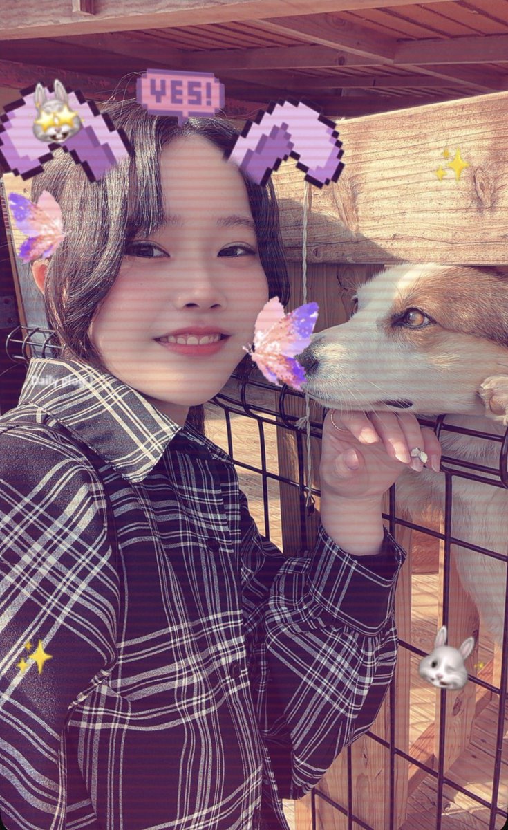 芋けんぴ tweet media