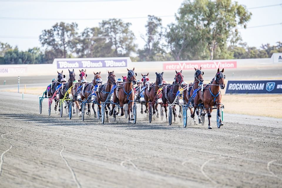 SENWABreakfast's tweet image. #Tips from @matt_young1991 for #Pinjarra tonight:

R5-8 Gotta Good Warhol (e/w)
R7-3 Overly Excited

@TAB_touch @SEN_Turf