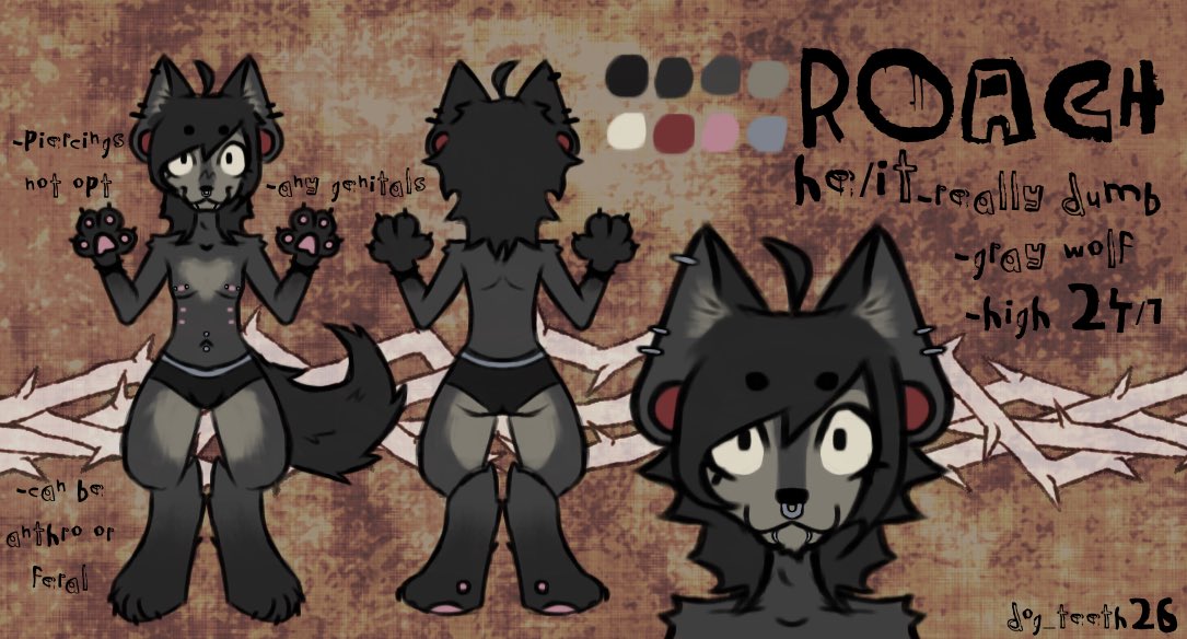 🐾roach🐾 tweet media