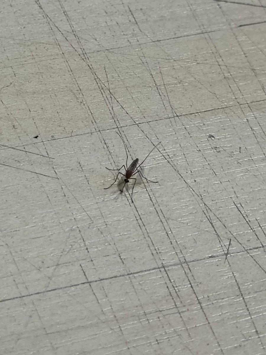 ☾˖ g-yunn🌷 (slow) tweet media