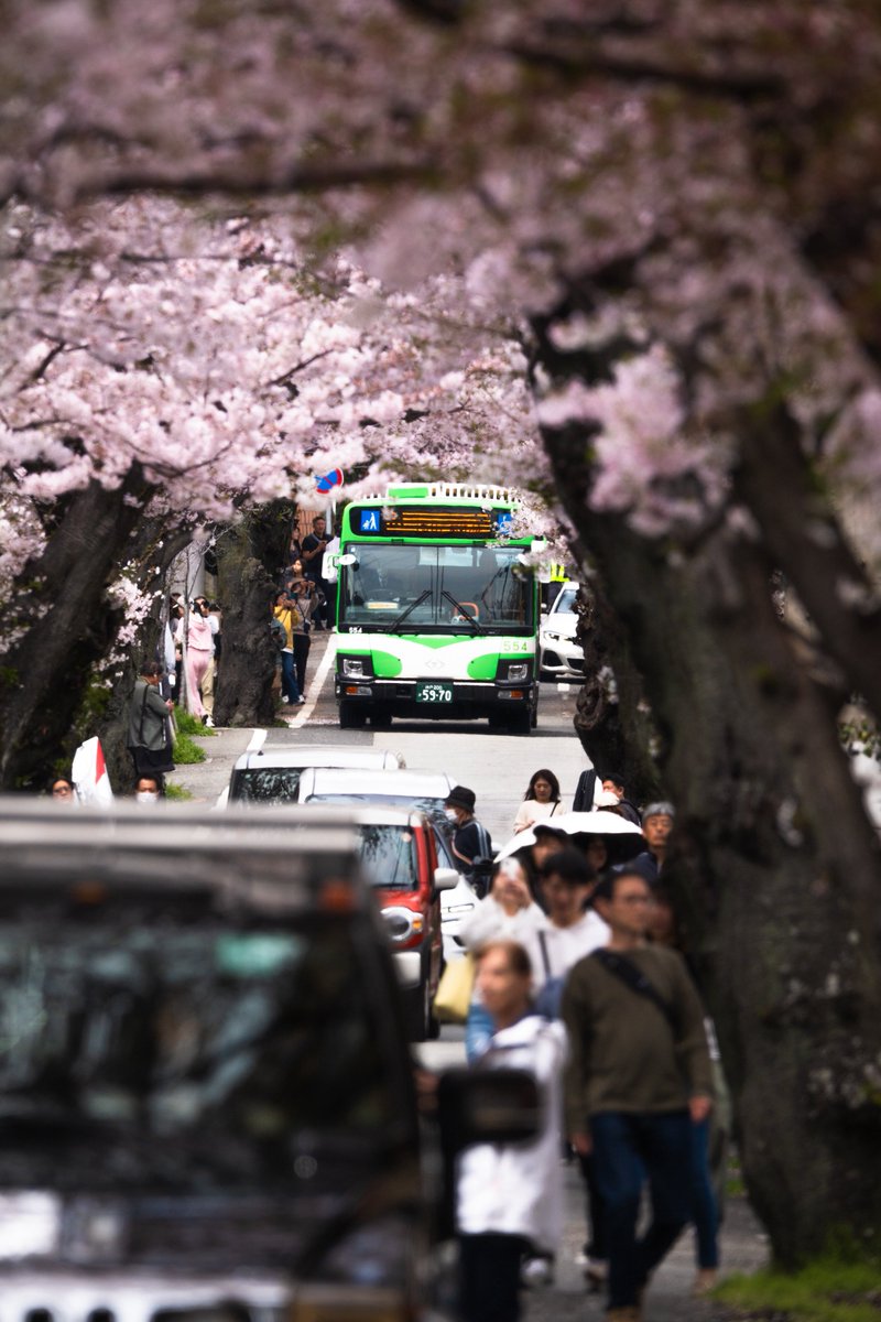 RYOsuke figure room tweet media