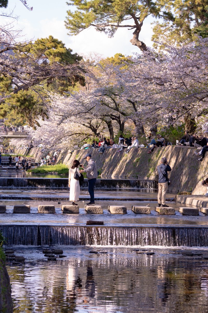 RYOsuke figure room tweet media