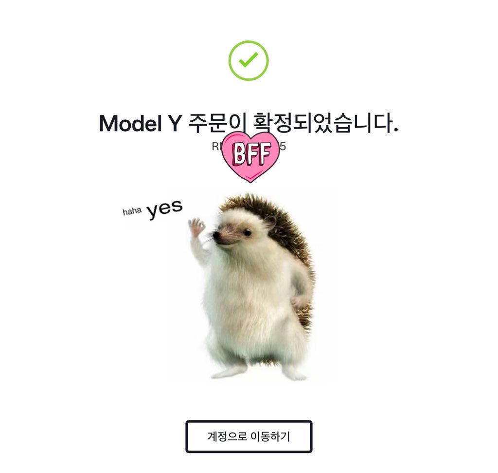 FIT.PILOT tweet media