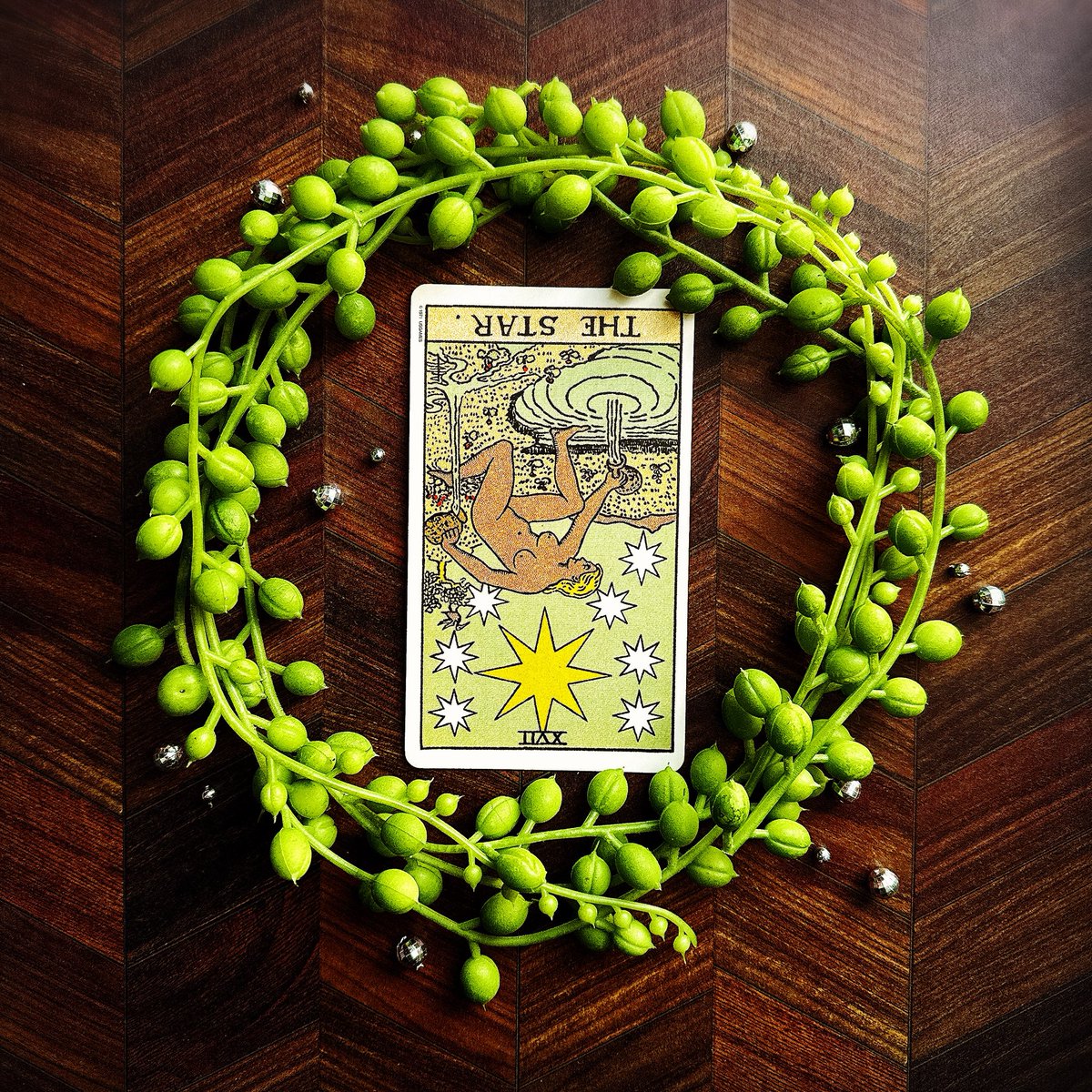 真木あかり tweet media