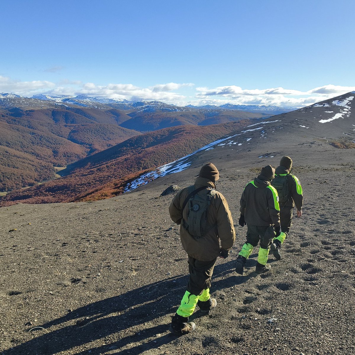 𝗖é𝘀𝗮𝗿 𝗤𝘂𝗲𝘇𝗮𝗱𝗮 𝗥. tweet media