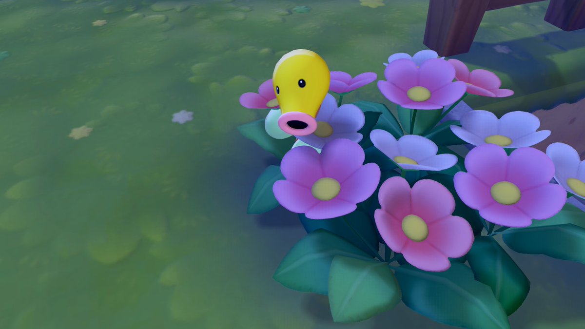 ゆずちゃぬ！ tweet media