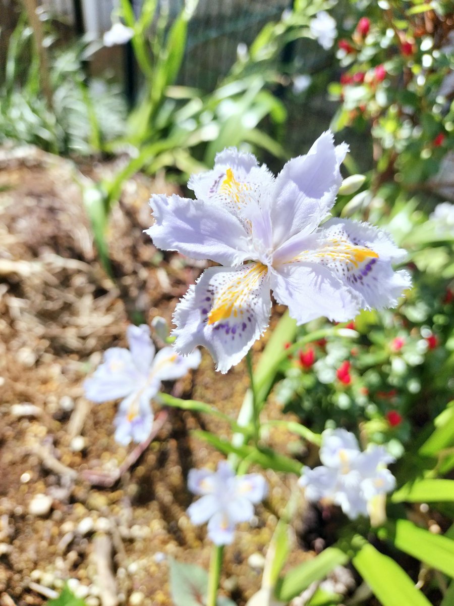 う～にゅん tweet media