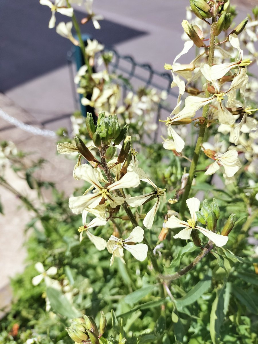 う～にゅん tweet media