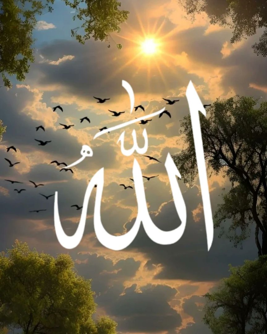 Hadia Niazi tweet media