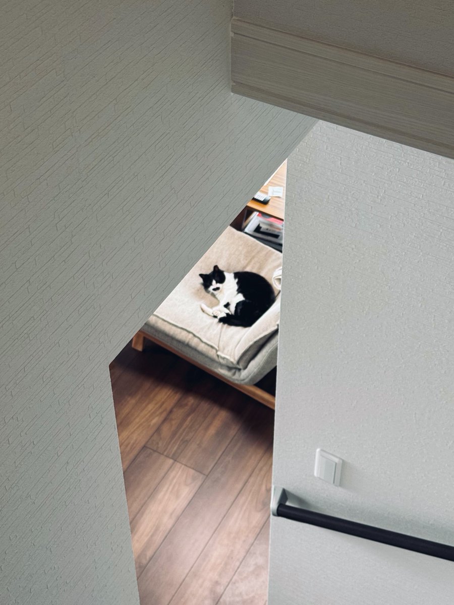 水夜子 tweet media