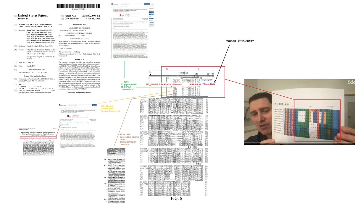 AllicinV ( 大蒜素-V ) - (TM) tweet media