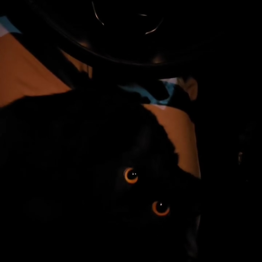 raelnachrysan tweet media