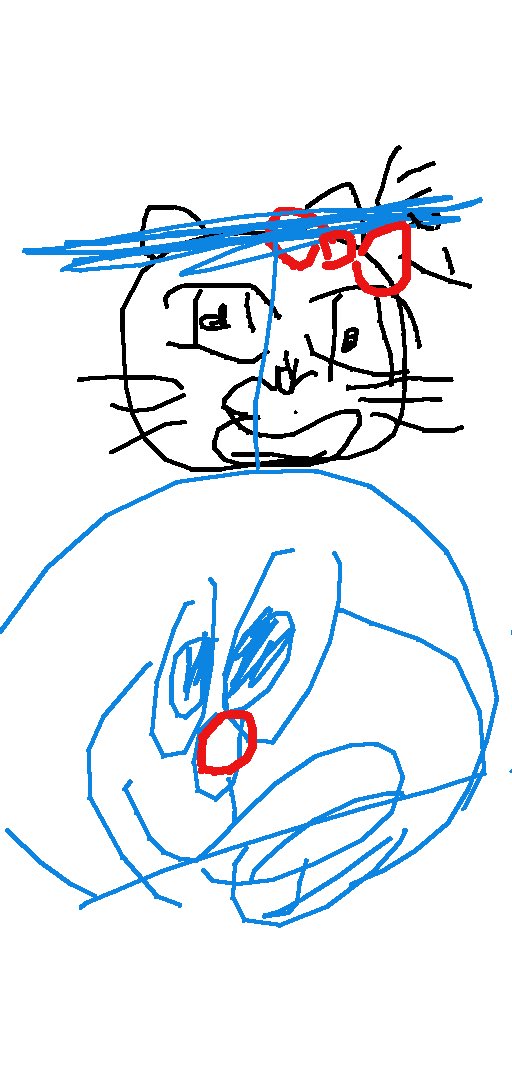 あおくん🪼 tweet media