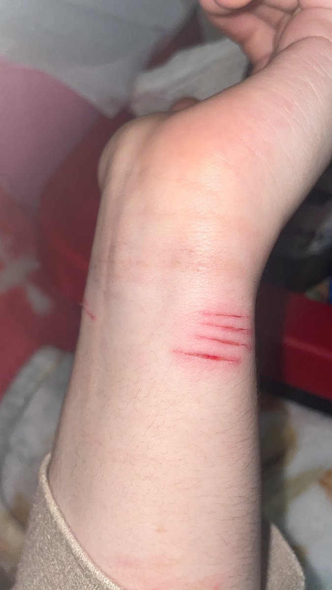 emma kade??!! tweet media