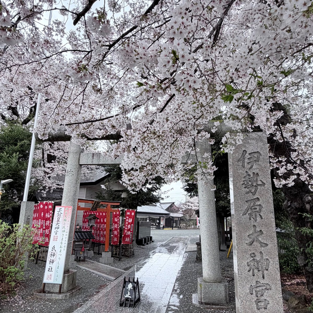 My Playful Town（MPT）-伊勢原市内在学中の大学生による町の楽しみ方- tweet media