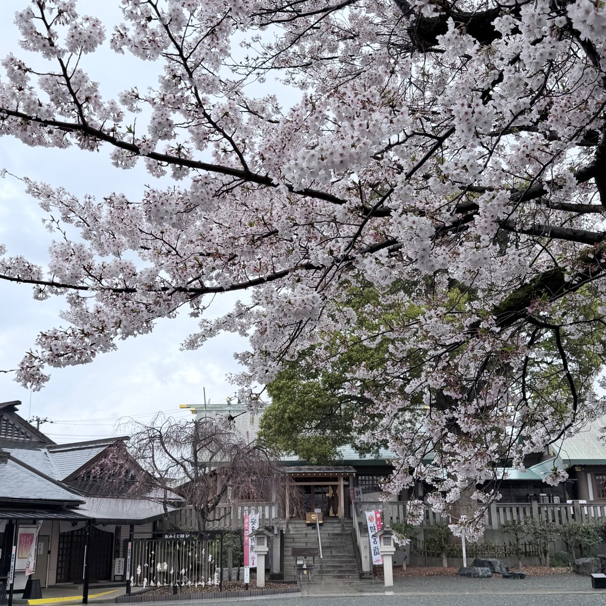 My Playful Town（MPT）-伊勢原市内在学中の大学生による町の楽しみ方- tweet media